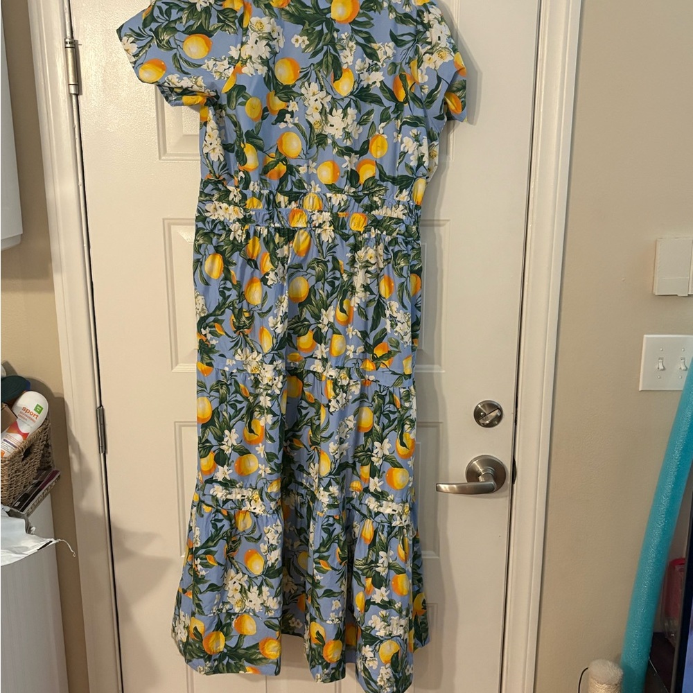 Floral Lemon Print Maxi Dress